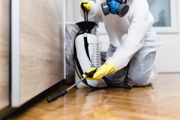Best Cockroach Control Services  in Glen Alpine, NC