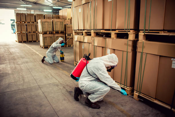 Pest Control Cost in Glen Alpine, NC