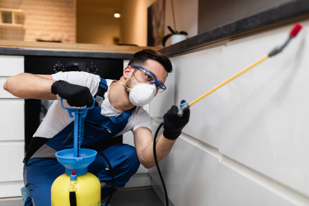 Trusted Glen Alpine, NC Pest Control Experts