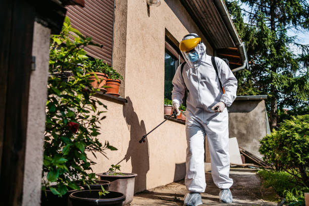 Best Flea Control Services  in Glen Alpine, NC