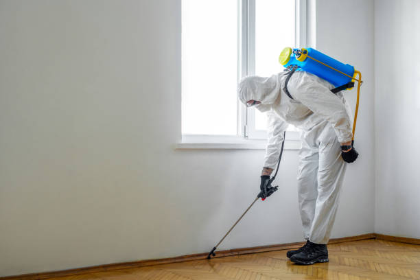 Best Pest Control Near Me in Glen Alpine, NC
