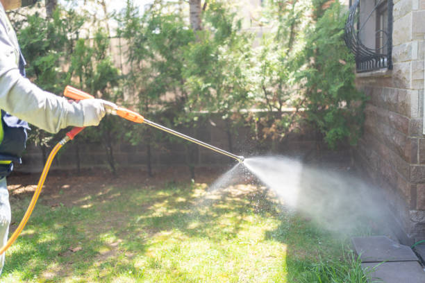 Best Emergency Pest Control  in Glen Alpine, NC