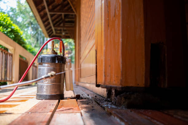 Best Mosquito Control Services  in Glen Alpine, NC