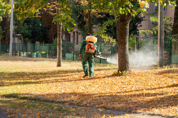 Best Best Pest Control Companies  in Glen Alpine, NC